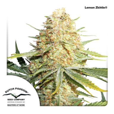 Lemon Zkittle